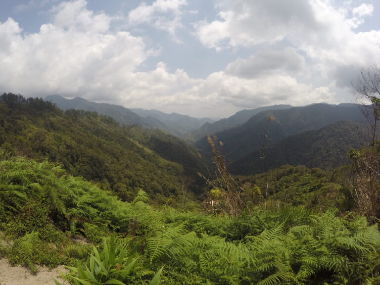 DCIM100GOPROG0230953.